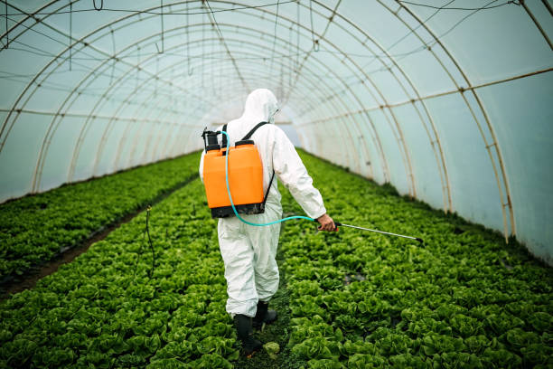 Best Best Pest Control Companies  in Harrisburg, PA