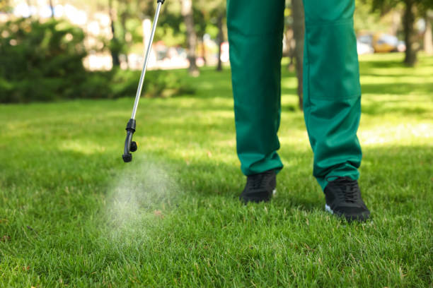 Best Flea Control Services  in Harrisburg, PA