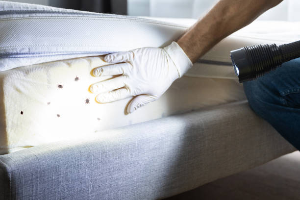  Harrisburg, PA Pest Control Pros