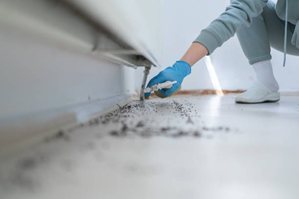 Professional Pest Control in Harrisburg, PA